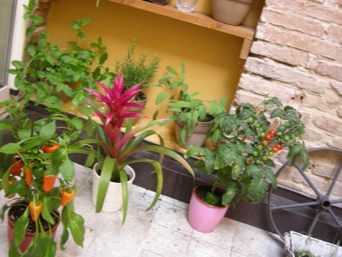Terrazza Petroni Apartment Bologna Exterior photo